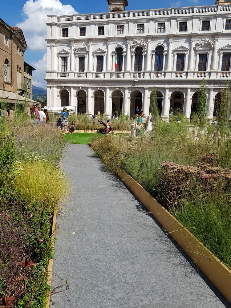 Zielony taras ekologiczny z funkcją retencji wody.webp